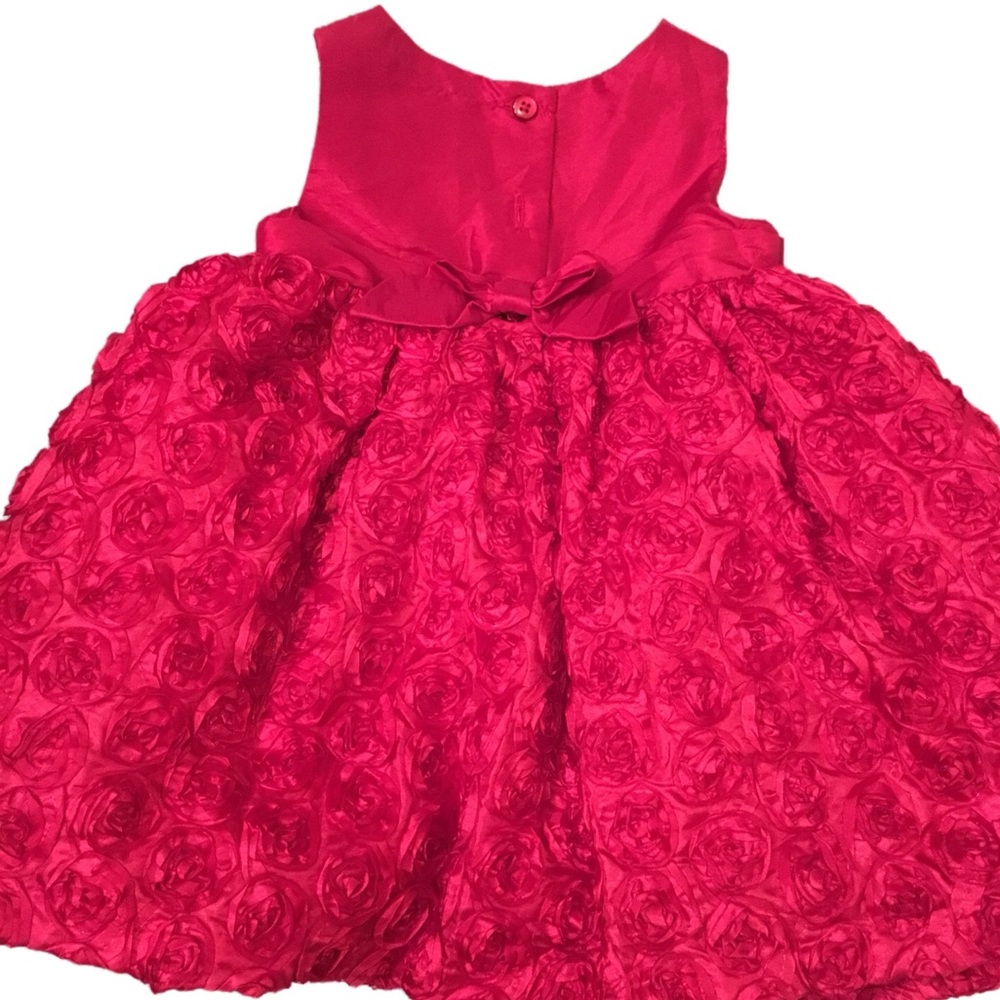 Special Occasion Baby Dress with Flowers 6 months